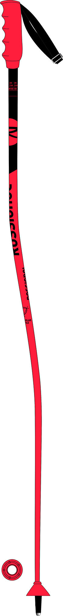 Rossingnol HERO GS-SG JR Ski Poles | Junior Ski Poles